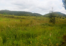 Costs scupper Mildura Rise appeal bid