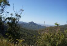 Planned burn in Mount Archer National Park