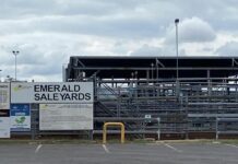 Numbers fall at Emerald due to regional rain