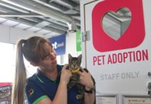 Give a pet a forever home