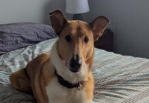 Double trial title results