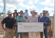 Competitors herd to Ridgelands