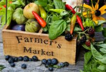 Thinking local: A fresh approach to food self-sufficiency
