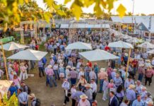 Beef Australia releases major tender timeline for 2027 event