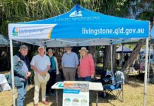 Let’s Catch Up — From Bush to Beach