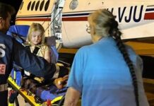 Asher’s shark bite rescue