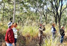 Birds spotted at Stanwell