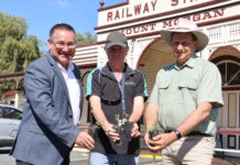 Wattle Day Festival in Bloom