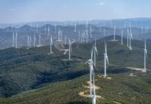 Labor’s green dream, our environmental nightmare