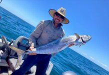 Return of the ‘mack’: have your say on Spanish mackerel strategy