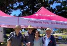 Village Festival hits the right notes