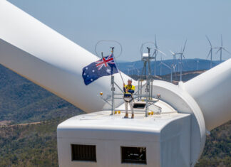 Twiggy top of the world at Clarke Creek