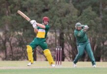 Bulls and Brothers meet in local cricket