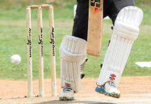 Falcons destroy Sharks