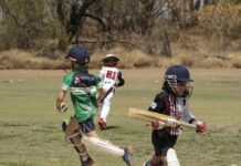 Pitching interest in cricket