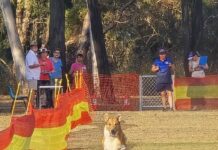 Sprint specialists shine