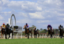 Sir Grace can show his class in Emerald 100