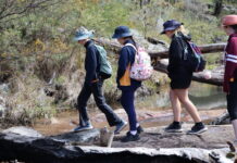 Community invited to time capsule reveal