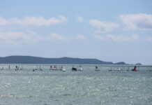 Youth Sail in Yeppoon