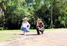 Council commences next stage of Botanic Gardens pathway renewal