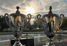 Countdown to the Cup