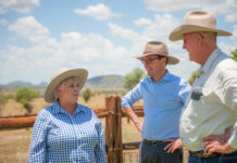 Buy local before it is too late