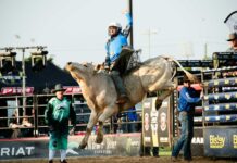 Rising star in his own Lane