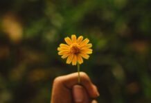 Softening the grip on me
