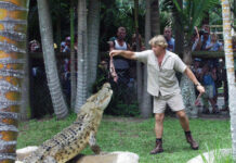 On This Day: Steve Irwin Day!