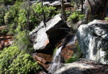 Bushfires at Blackdown Tableland National Park