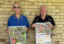 Latest bird calendar in flight