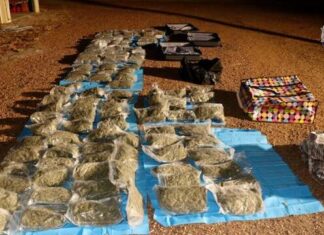 Half a million dollars’ worth of cannabis seized in vehicle intercept, Winton