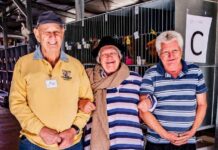 Feather Club flying high with new funding