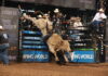 Central Queenslanders in action at PBR Grand Finals