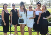 Black and White by the track in Yeppoon