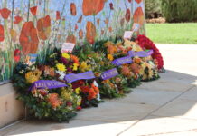 Letters to the Editor