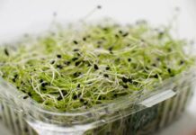 National recall of alfalfa sprouts linked to Salmonella infections