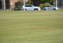 Blue Brothers blast past strong Sharks