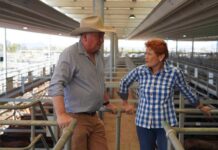 Barnaby joins One Nation