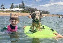 Christmas at the beach