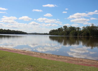 Blue-green algae bloom detected in Fitzroy River