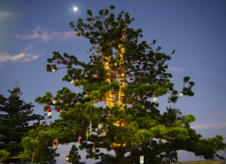 Christmas cheer lights up Livingstone