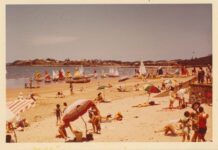 Green shoots: Are you thinking what 800 other locals are?