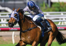 Sky’s the limit for Ouston’s two-year-old