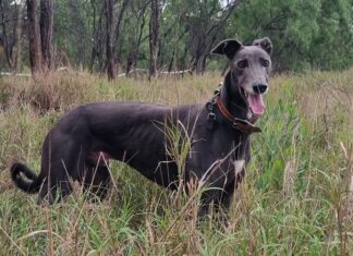 New home where the heart is for ‘Snoop Dogg’