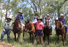 Mooving to the high ground