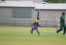 Sharks find bite at home