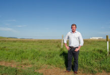 Busy start to the year for MP