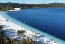 Wild dingoes to be euthanised after teen’s death at K’gari