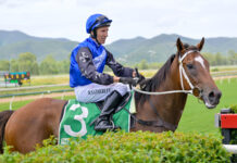 Nine races to be run at won at Callaghan Park